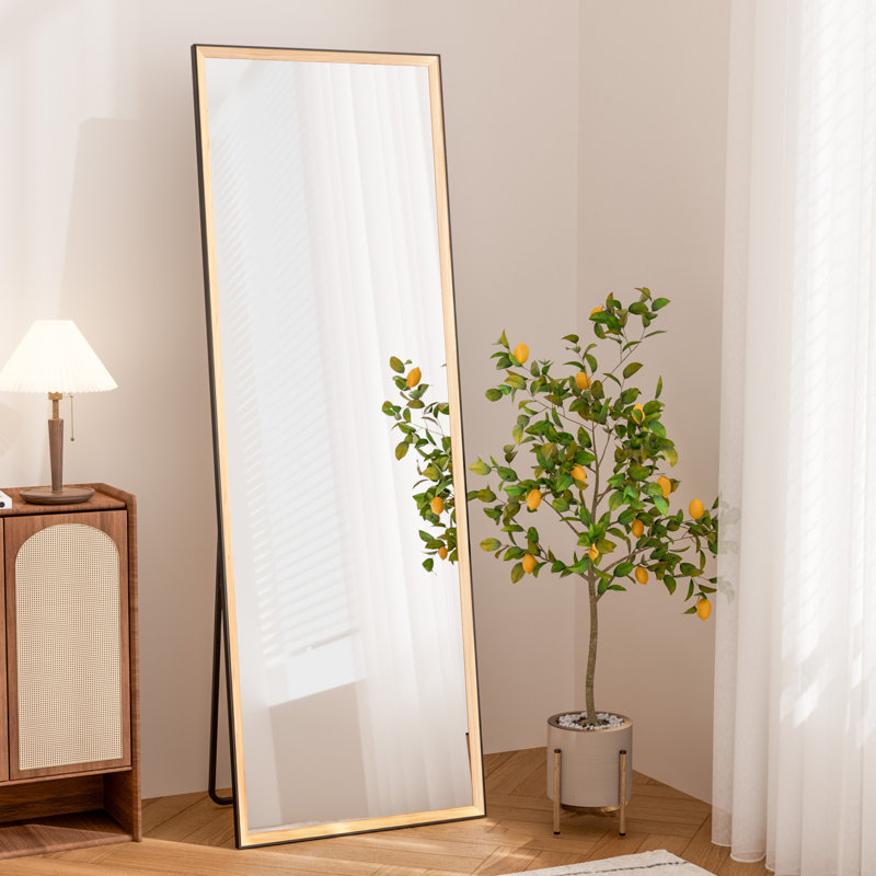 Full length mirror cheap discount